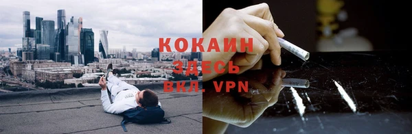 прущая мука Арсеньев