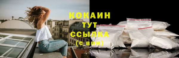 тгк Армянск