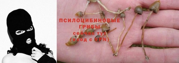 тгк Армянск