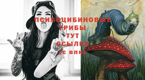 прущая мука Арсеньев